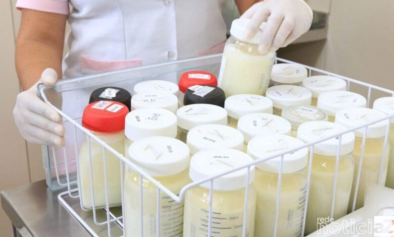 Campanha quer ampliar em 5% doação de leite materno no país