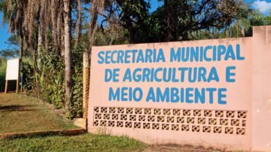 Barretos mantém serviço 24h para remoção de animais de grande porte em vias