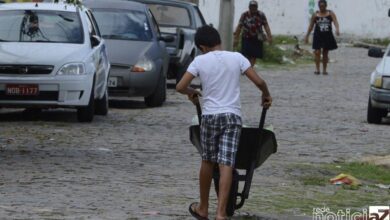 De janeiro a abril, Brasil resgata 702 crianças do trabalho infantil