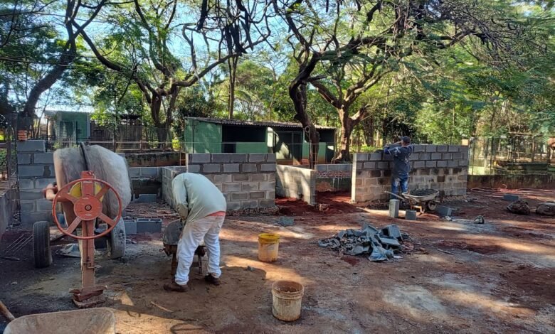 Zoológico Municipal de Guaíra inicia construção de novos viveiros