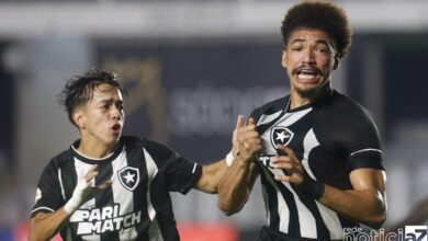 Líder Botafogo mostra força e arranca empate com Santos no Brasileiro