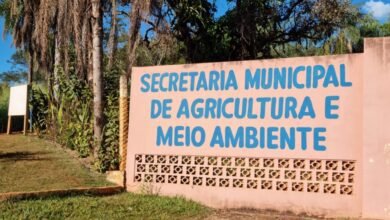 Prefeitura de Barretos alerta para início do período de Vazio Sanitário da cultura da soja