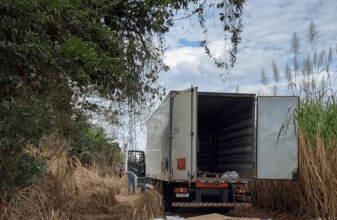 Carga de Defensivos Agrícolas Avaliada em R$ 1,1 Milhão é Roubada