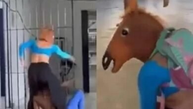 VÍDEO - "Cavalo Tarado" aparece em escola e choca pais de estudantes