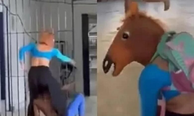 VÍDEO - "Cavalo Tarado" aparece em escola e choca pais de estudantes