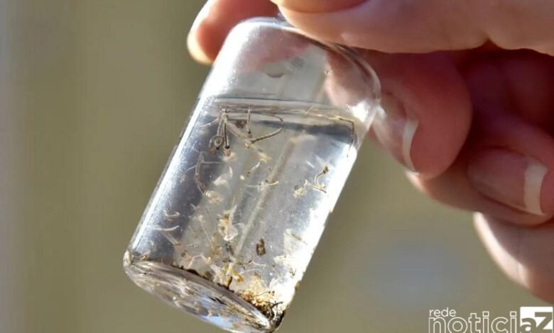 Jundiaí registra aumento nos casos de Dengue