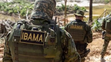 ibama