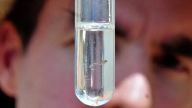 Caraguatatuba entra em estado de alerta após 300 casos de dengue serem confirmados