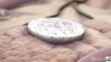 Vacina contra câncer é desenvolvida