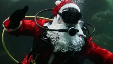 Papai Noel mergulha no Aquário de Santos