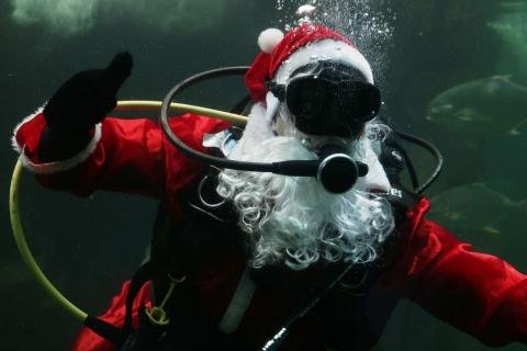 Papai Noel mergulha no Aquário de Santos
