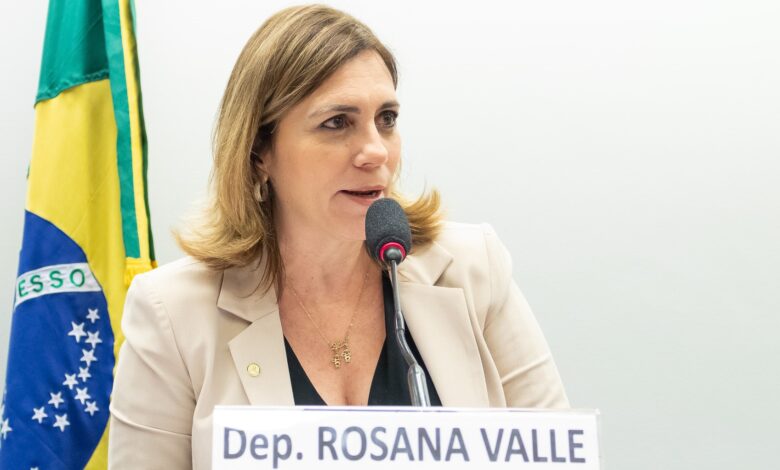 Deputada Rosana Valle é diagnosticada com coronavírus