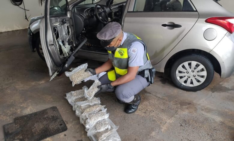 Motorista que transportava carregamento de skank é preso