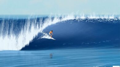 Festival de Surf acontece em São Vicente