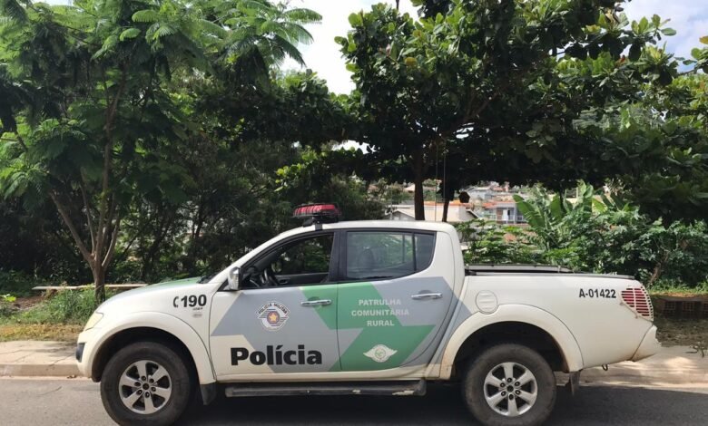 Polícia Militar Ambiental divulga resultados da Operação Força Ambiental