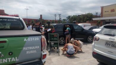 Cão preso dentro de carro blindado da multa a dona de 6 mil