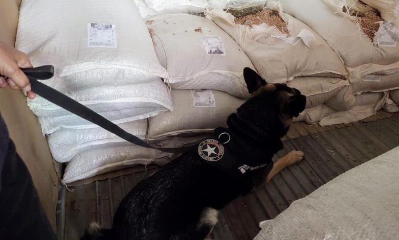 Quase meia tonelada de cocaína é apreendida no Porto de Santos