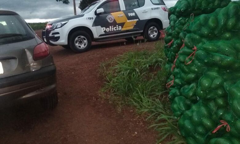 Furtou abacates de sítio e foi para a cadeia