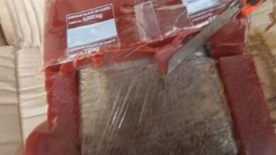 Cocaína guardada em goiabada é apreendida no Porto