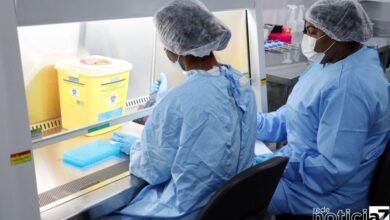 Os atendimentos feitos com uso de inteligência artificial, por meio do robô Laura Care, ajudaram a desafogar o sistema de saúde durante a pandemia de