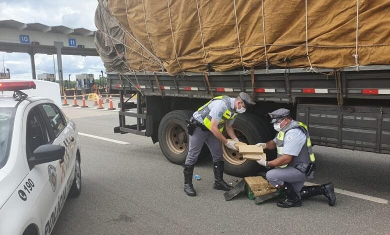 1,8 ton de maconha é apreendida em Rodovia