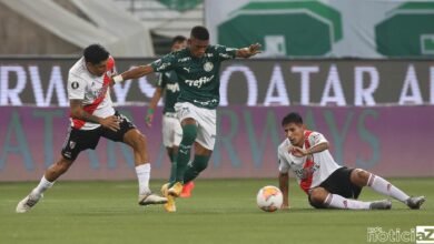 Após 20 anos, Palmeiras volta à final da Taça Libertadores