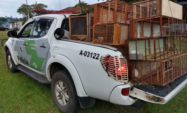 Aves mantidas em cativeiro geram multa de R$ 28 mil