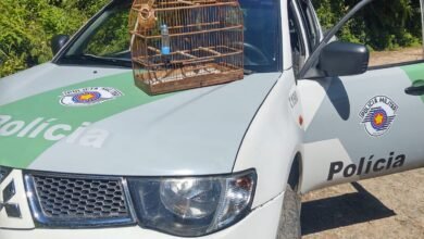 Polícia Ambiental apreende ave silvestre em cativeiro em Itanhaém