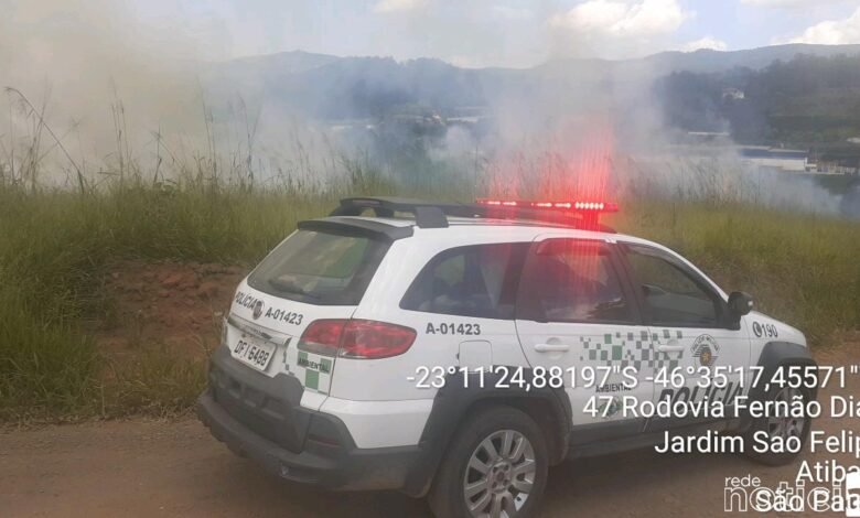Donos de loteamento industrial são multados em R$171 mil reais por fogo em terreno