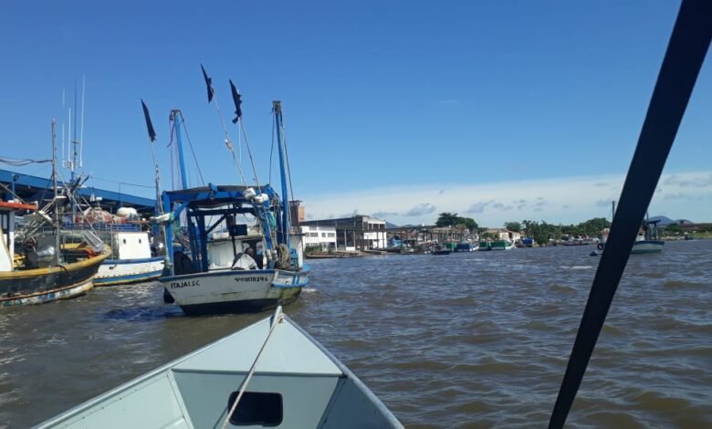 Policia flagra pesca irregular e apreende 50kg de camarão