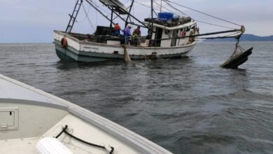 VÍDEO - Pesca irregular rede multa de R$ 14 mil e apreensão de 300kg de camarão