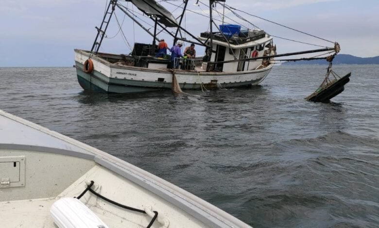 VÍDEO - Pesca irregular rede multa de R$ 14 mil e apreensão de 300kg de camarão