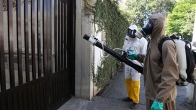 Casos de chikungunya são confirmados em Santos