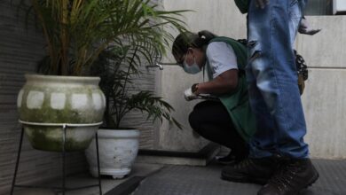 Mutirão contra o Aedes aegypti é feito na Aparecida