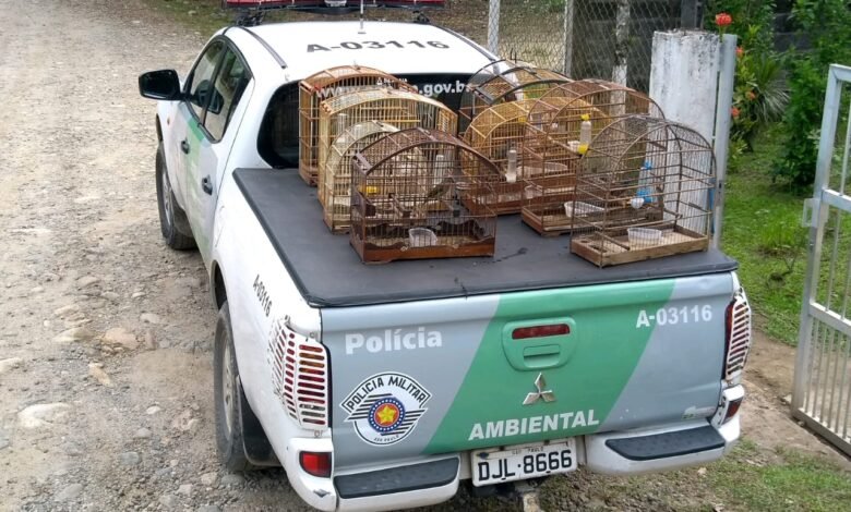 Pássaros silvestres em cativeiro rende multa de R$ 9 mil reais