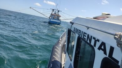 Meia tonelada de camarão é apreendida e pescador é multado em R$ 88 mil