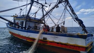 Policiamento Ambiental Marítimo flagra pesca irregular em Santos