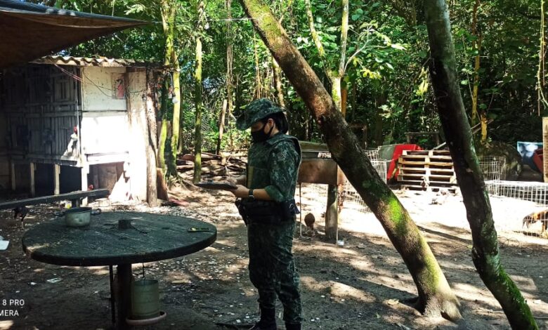 Combate contra a devastação é feito pela Polícia Ambiental