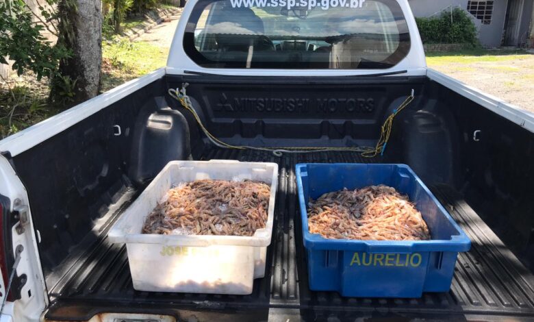 Polícia Ambiental flagra pesca irregular e aplica multa