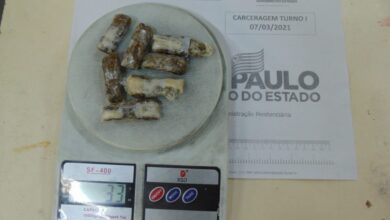 Drogas escondidas em embalagem de creme são encontradas