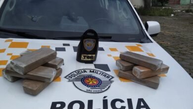 Passageiro de uma van tinha 7 kg de maconha na mochila