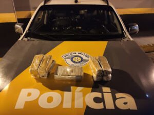 Apreendido carregamento de drogas que abasteceria São Vicente