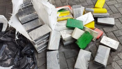 Cocaína é encontrada e apreendida no Porto de Santos