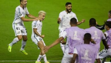 Santos e Grêmio avançam na Libertadores da América
