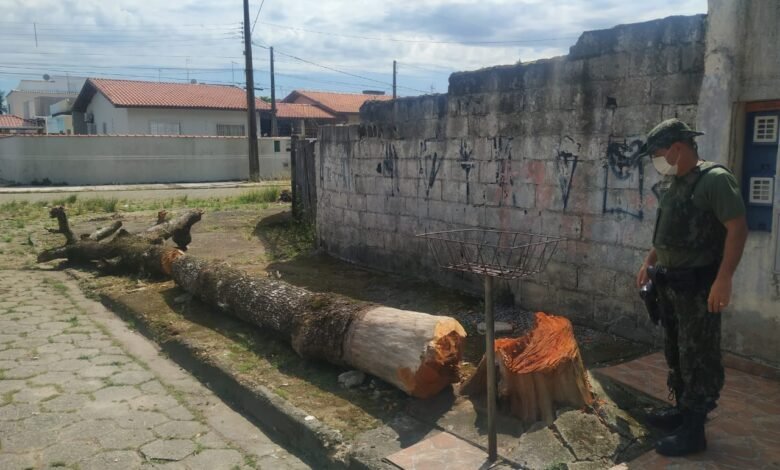 Polícia Ambiental combate desmatamentos em cidades da Baixada