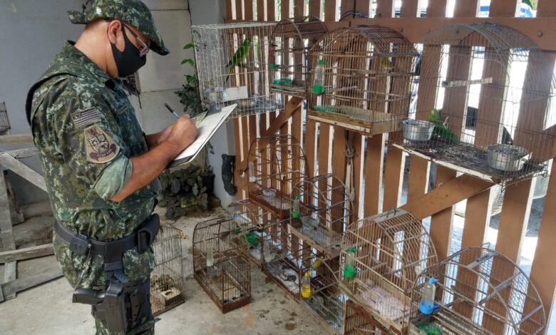 Polícia Ambiental resgata animais mantidos em cativeiro