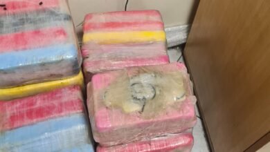 Polícia Federal realiza apreensões de drogas no Porto