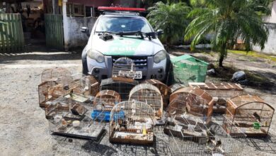 Homem mantém aves em cativeiro e é multado em mais de R$ 1 milhão