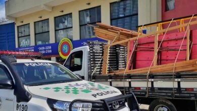 Polícia Ambiental impede transporte irregular de madeira