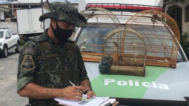 Polícia Ambiental atende irregularidades em Itariri